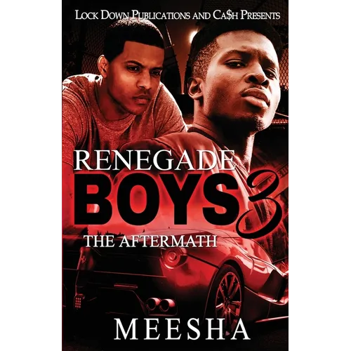 Renegade Boys 3: The Aftermath