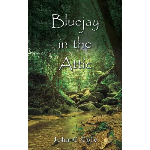 Bluejay in the Attic