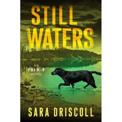 Still Waters: A Riveting Novel of Suspense