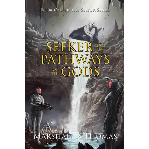 Seeker and the Pathways of the Gods