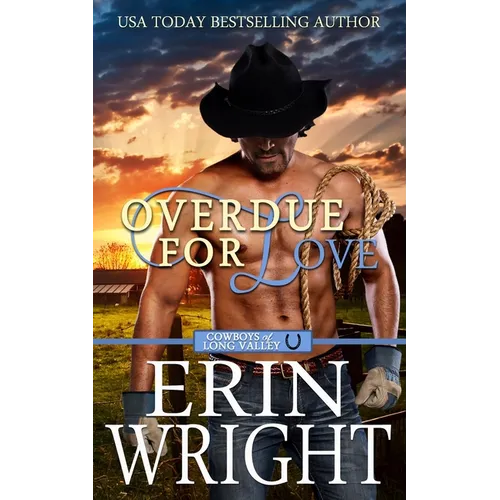Overdue for Love: A Secret Baby Western Romance