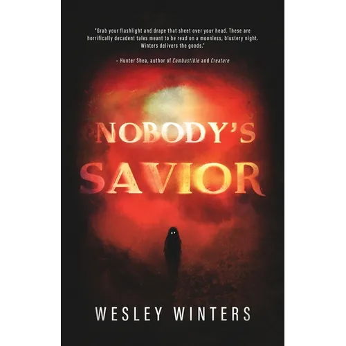 Nobody's Savior
