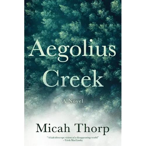 Aegolius Creek