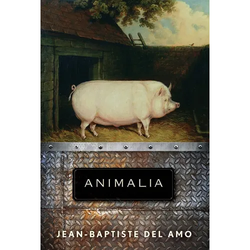 Animalia