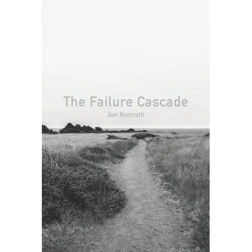The Failure Cascade