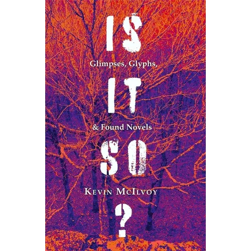 Is It So?: Glimpses, Glyphs, & Found Novels