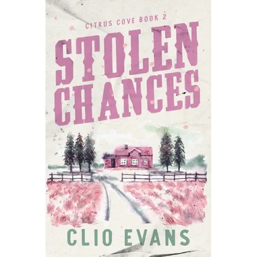 Stolen Chances: A Single Mom, MMF, Small Town Romance Suspense