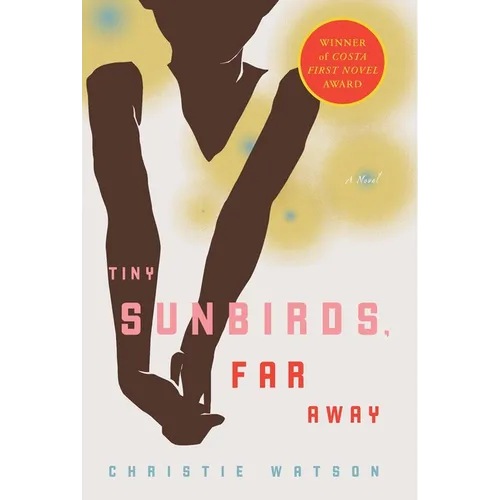 Tiny Sunbirds, Far Away