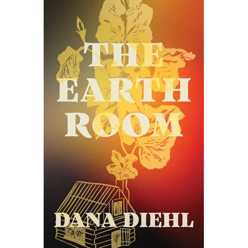 The Earth Room