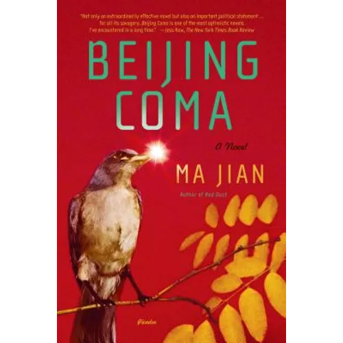 Beijing Coma