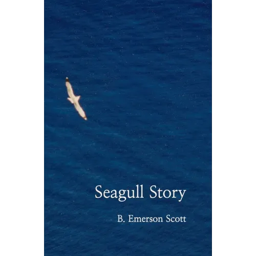 Seagull Story