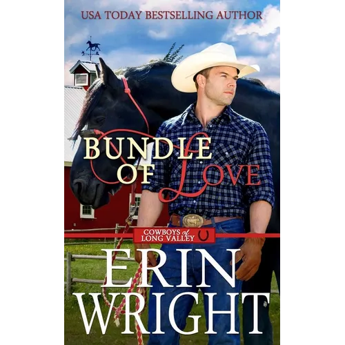 Bundle of Love: An Office Contemporary Western Romance