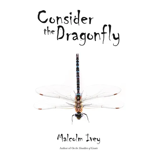 Consider the Dragonfly