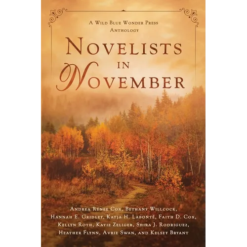 Novelists in November: a Wild Blue Wonder Press anthology