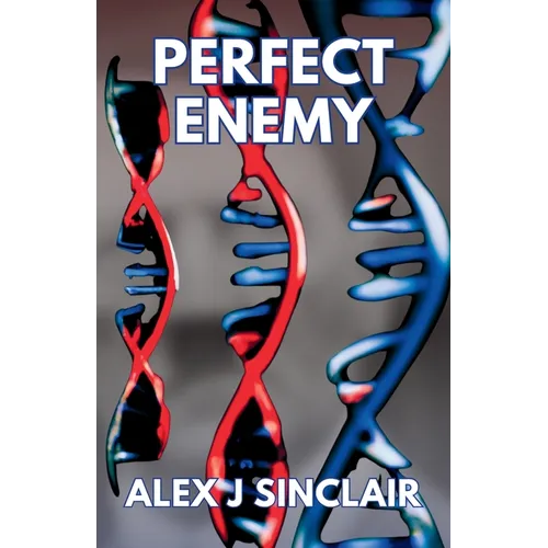 Perfect Enemy