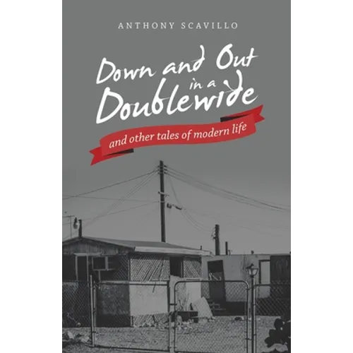 Down and out in a Doublewide and Other Tales of Modern Life