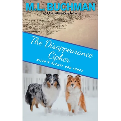 The Disappearance Cipher: a coming of age romantic suspense
