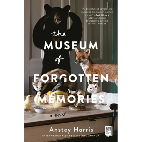 The Museum of Forgotten Memories
