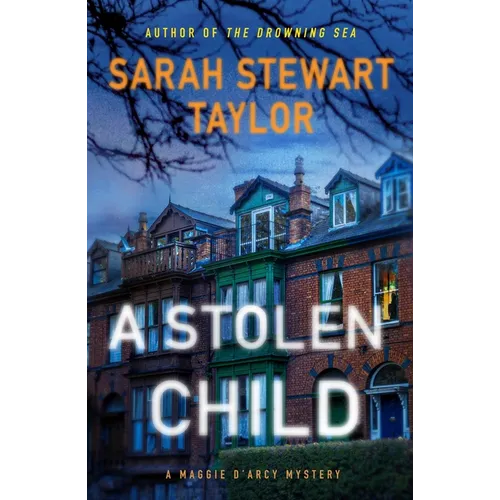 A Stolen Child: A Maggie d'Arcy Mystery
