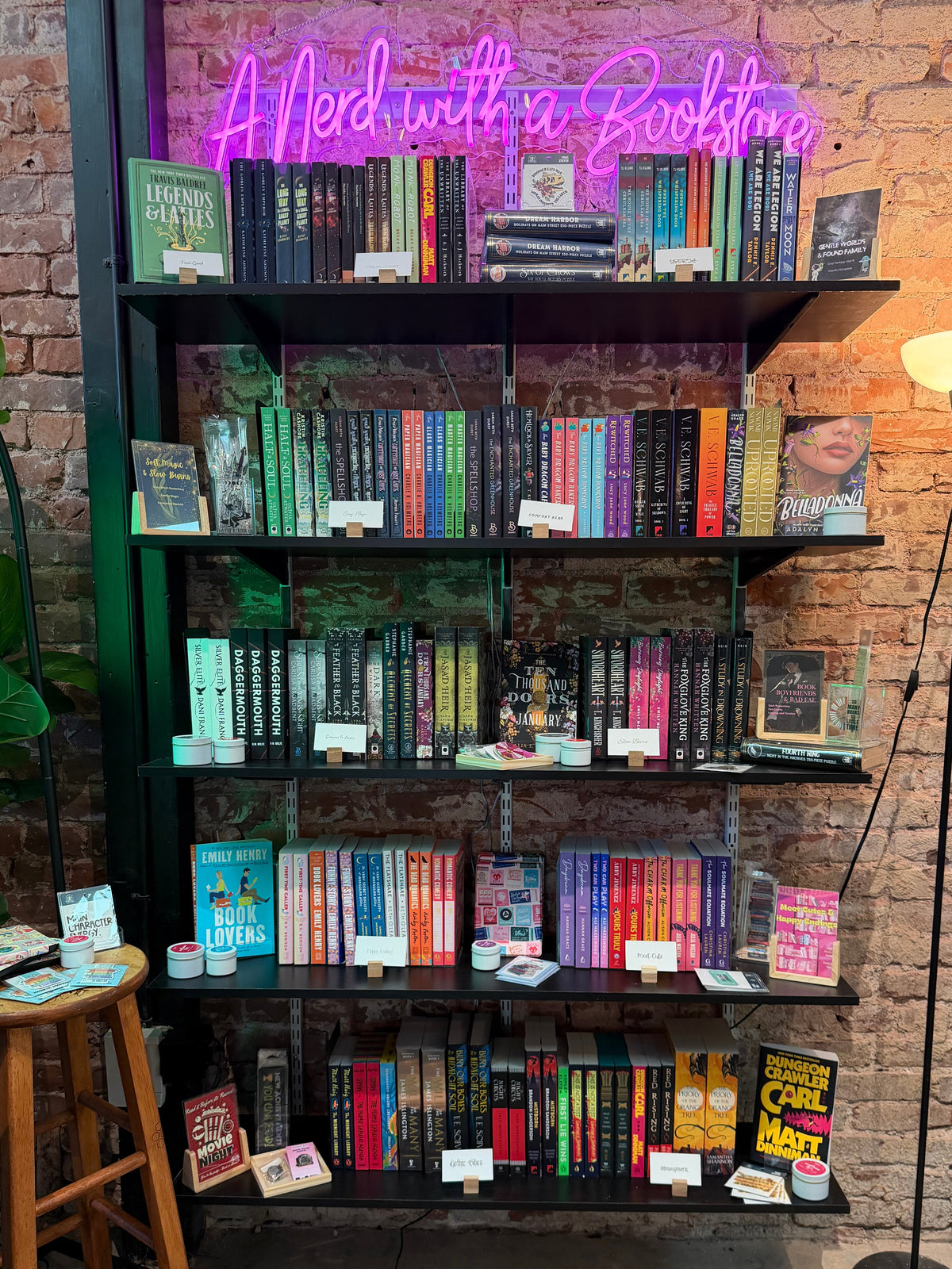 Bookshelf display at Daydream on Grand with books and a neon sign that says "A Nerd with a Bookstore" on a brick wall.