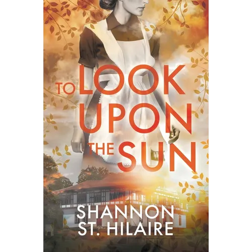 To Look Upon The Sun
