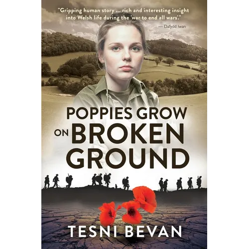 Poppies Grow on Broken Ground