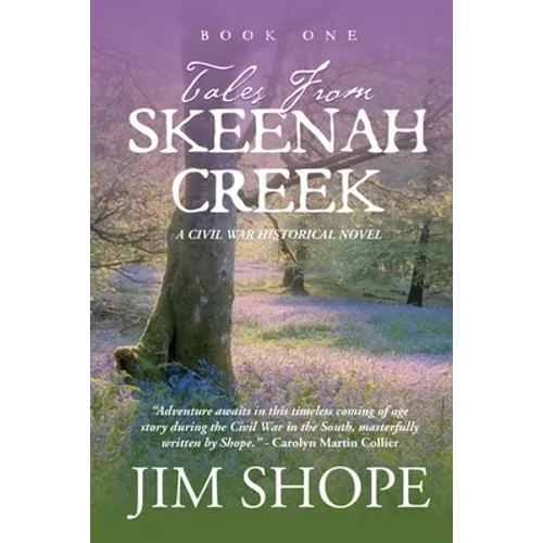 Tales From Skeenah Creek: A Civil War Historical Fiction Novel