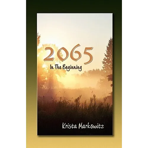 2065 in the Beginning