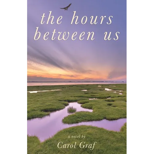The Hours Between Us