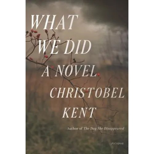 What We Did