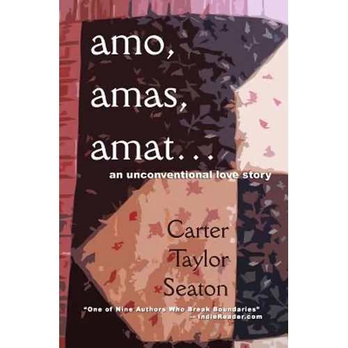 amo, amas, amat...: An Unconventional Love Story