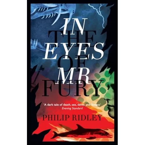 In the Eyes of Mr Fury
