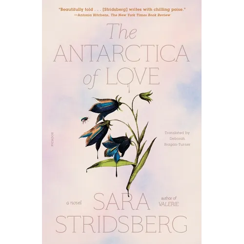 The Antarctica of Love