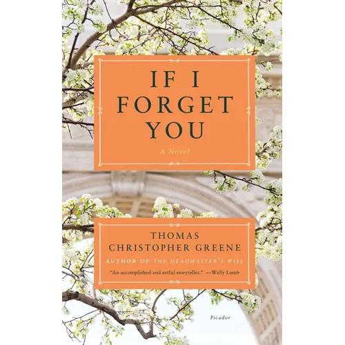 If I Forget You