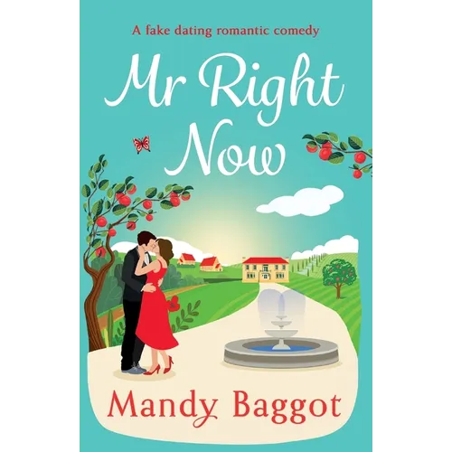 Mr Right Now