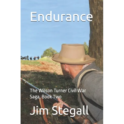 Endurance: The Wilson Turner Civil War Saga