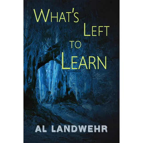 What's Left to Learn