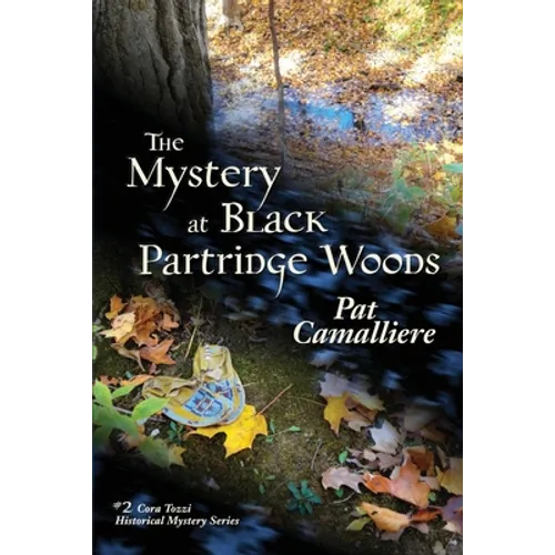 The Mystery at Black Partridge Woods