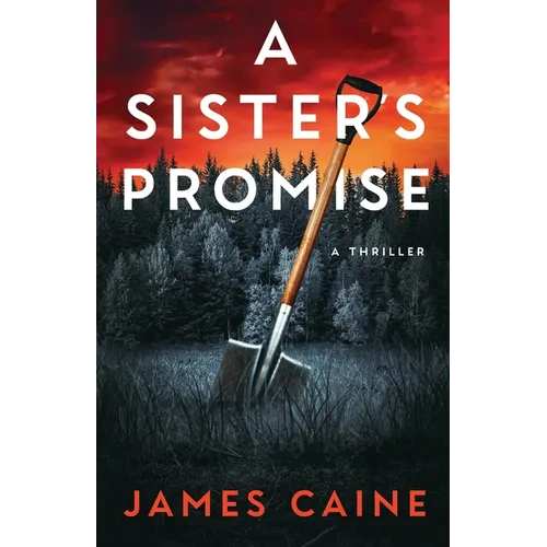 A Sister's Promise: A Thriller