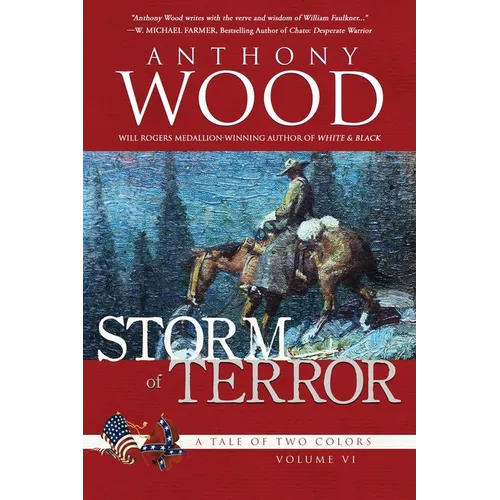 Storm of Terror: A Story of the Civil War