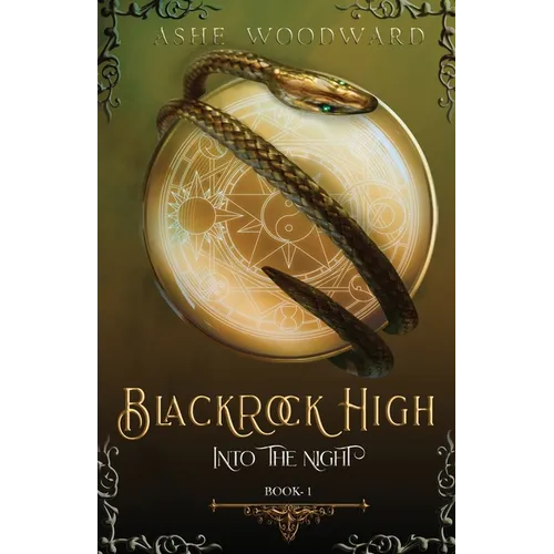 Blackrock High: Into the Night (The Blackrock High Trilogy: Book One)