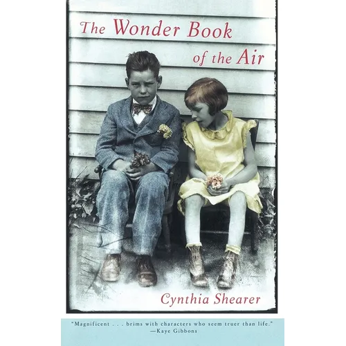 The Wonder Book of the Air