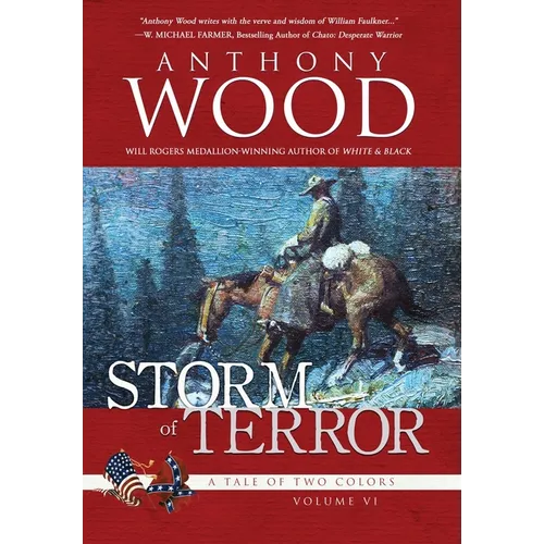 Storm of Terror: A Story of the Civil War