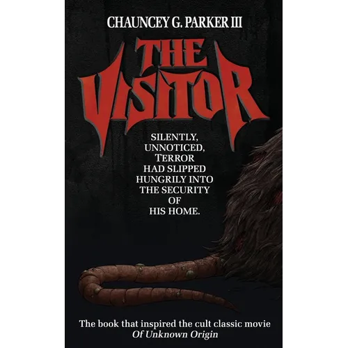 The Visitor