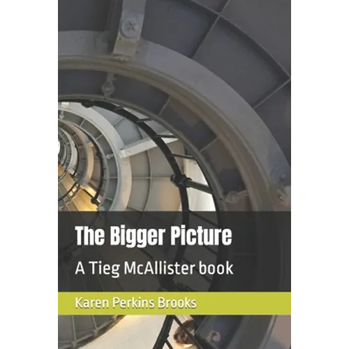 The Bigger Picture: A Tieg McAllister book