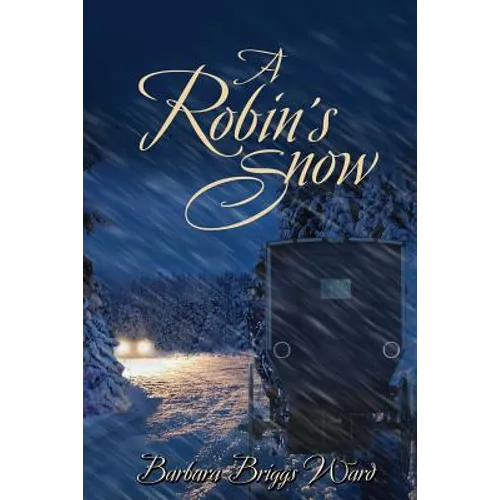 A Robin's Snow