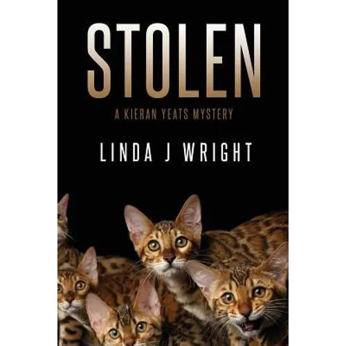 Stolen: A Kieran Yeats Mystery