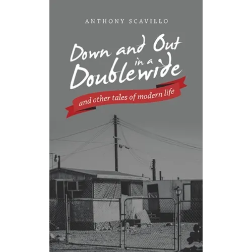 Down and out in a Doublewide and Other Tales of Modern Life