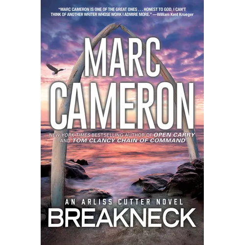 Breakneck: A Captivating Novel of Suspense