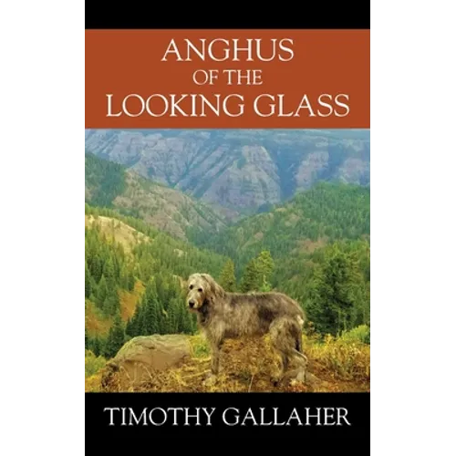 Anghus of the Looking Glass